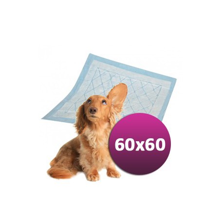 TIP! Plena pro psy DOGGIES 60 x 60 cm 